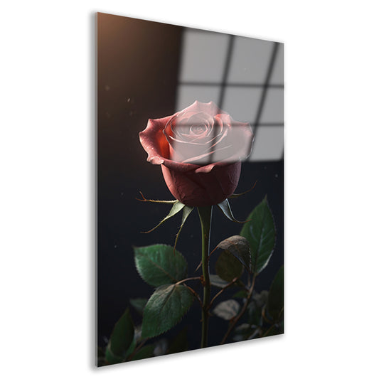 Dieprode Roos met Fluweelachtige Bladeren acrylglas