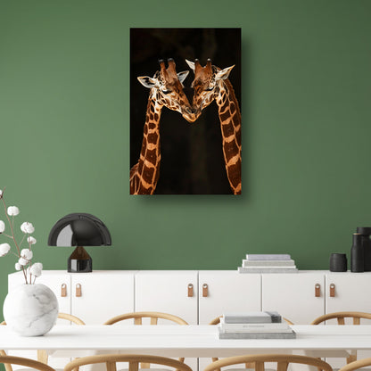 Twee giraffen tegen donkere achtergrond acrylglas