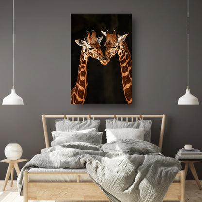 Twee giraffen tegen donkere achtergrond acrylglas