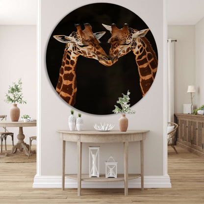 Twee giraffen tegen donkere achtergrond aluminium muurcirkel