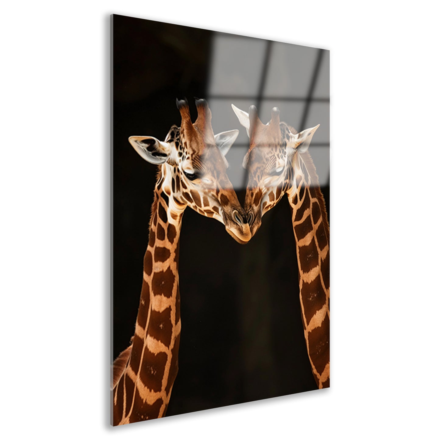 Twee giraffen tegen donkere achtergrond acrylglas