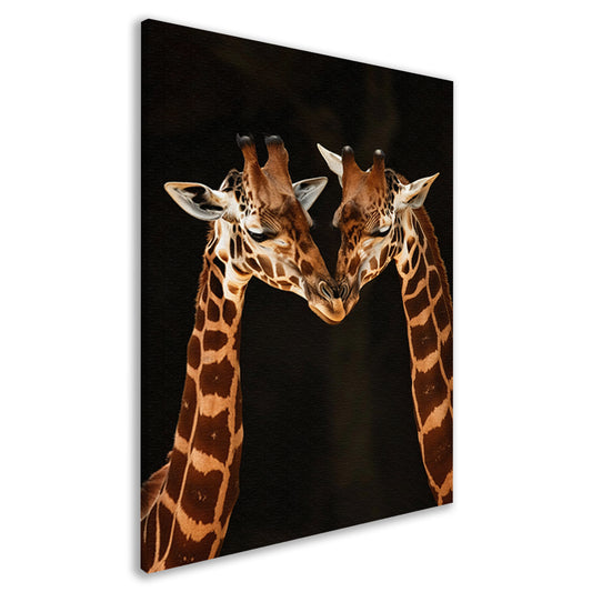 Twee giraffen tegen donkere achtergrond canvas