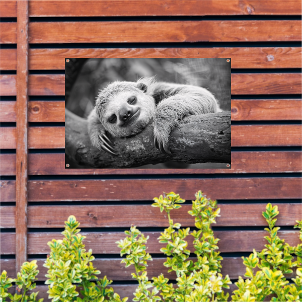 Slapende luiaard op tak tuinposter