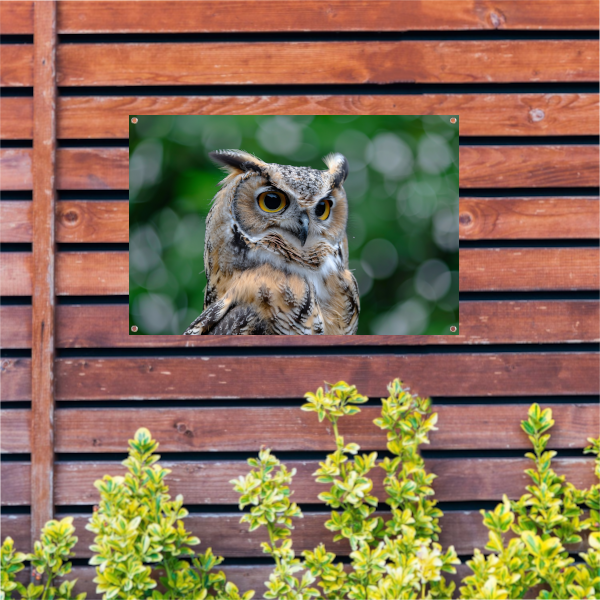 De Majestueuze Blik van een Uil tuinposter