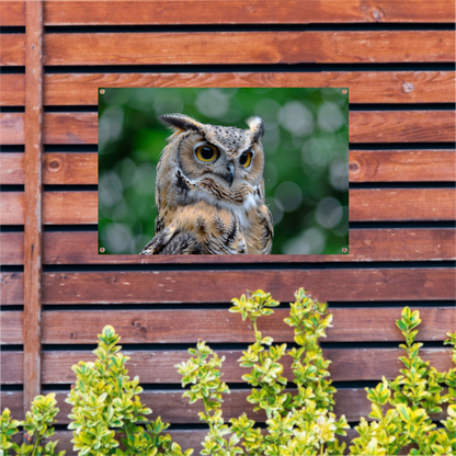 De Majestueuze Blik van een Uil tuinposter