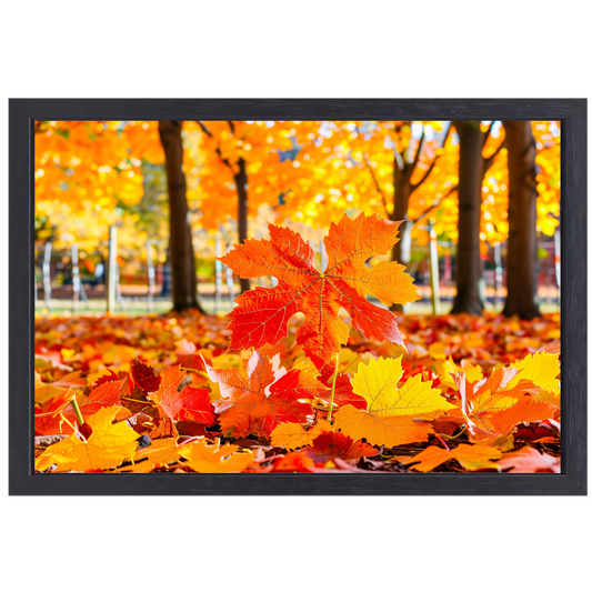 Herfstbladeren in zonovergoten park canvas met baklijst