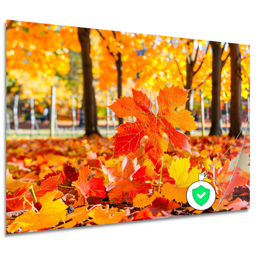 Herfstbladeren in zonovergoten park poster