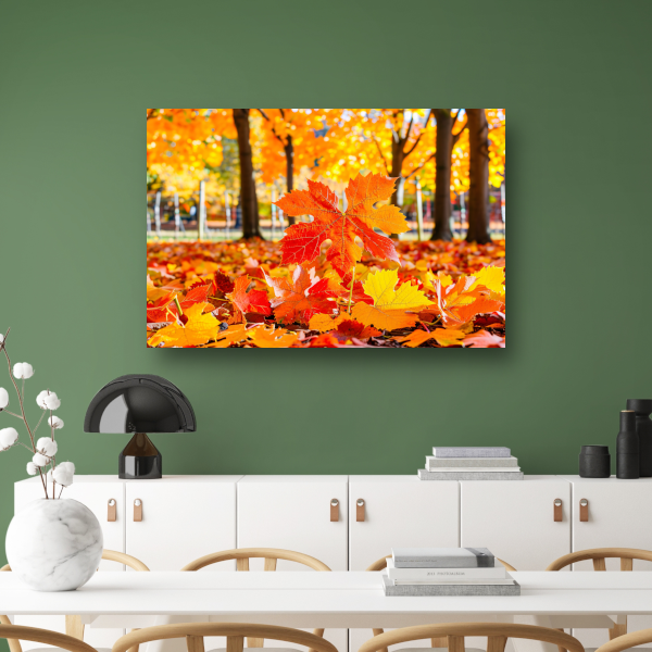 Herfstbladeren in zonovergoten park acrylglas