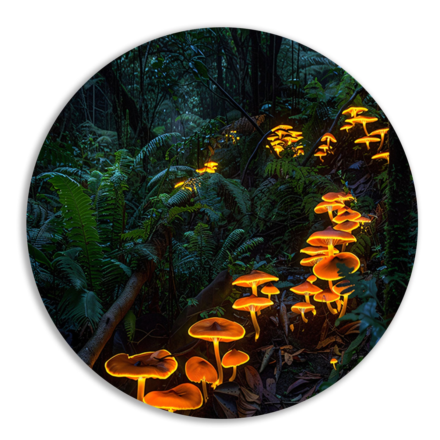 Glowing paddenstoelen in mystiek boslandschap aluminium muurcirkel