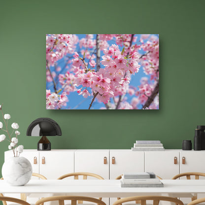 Roze bloesem op een zonnige dag poster