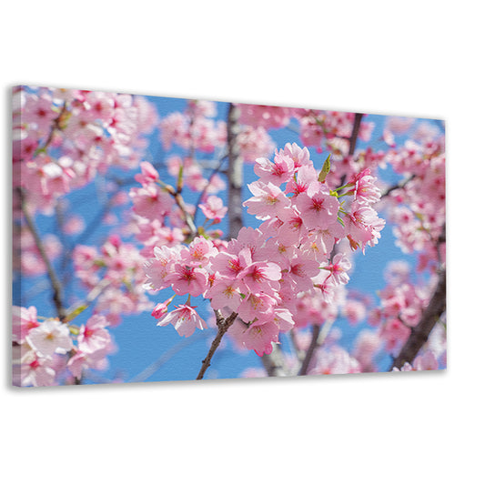 Roze bloesem op een zonnige dag canvas