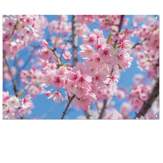 Roze bloesem op een zonnige dag tuinposter