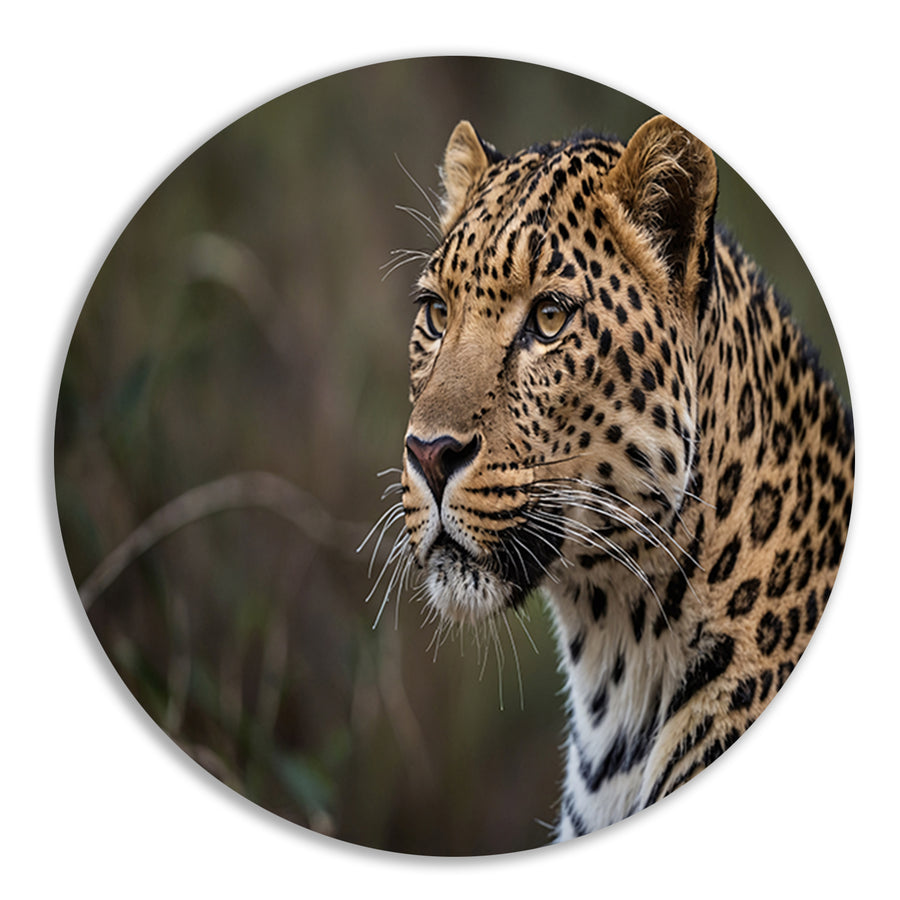 Prachtige close-up van een wilde luipaard forex muurcirkel