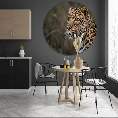 Prachtige close-up van een wilde luipaard aluminium muurcirkel