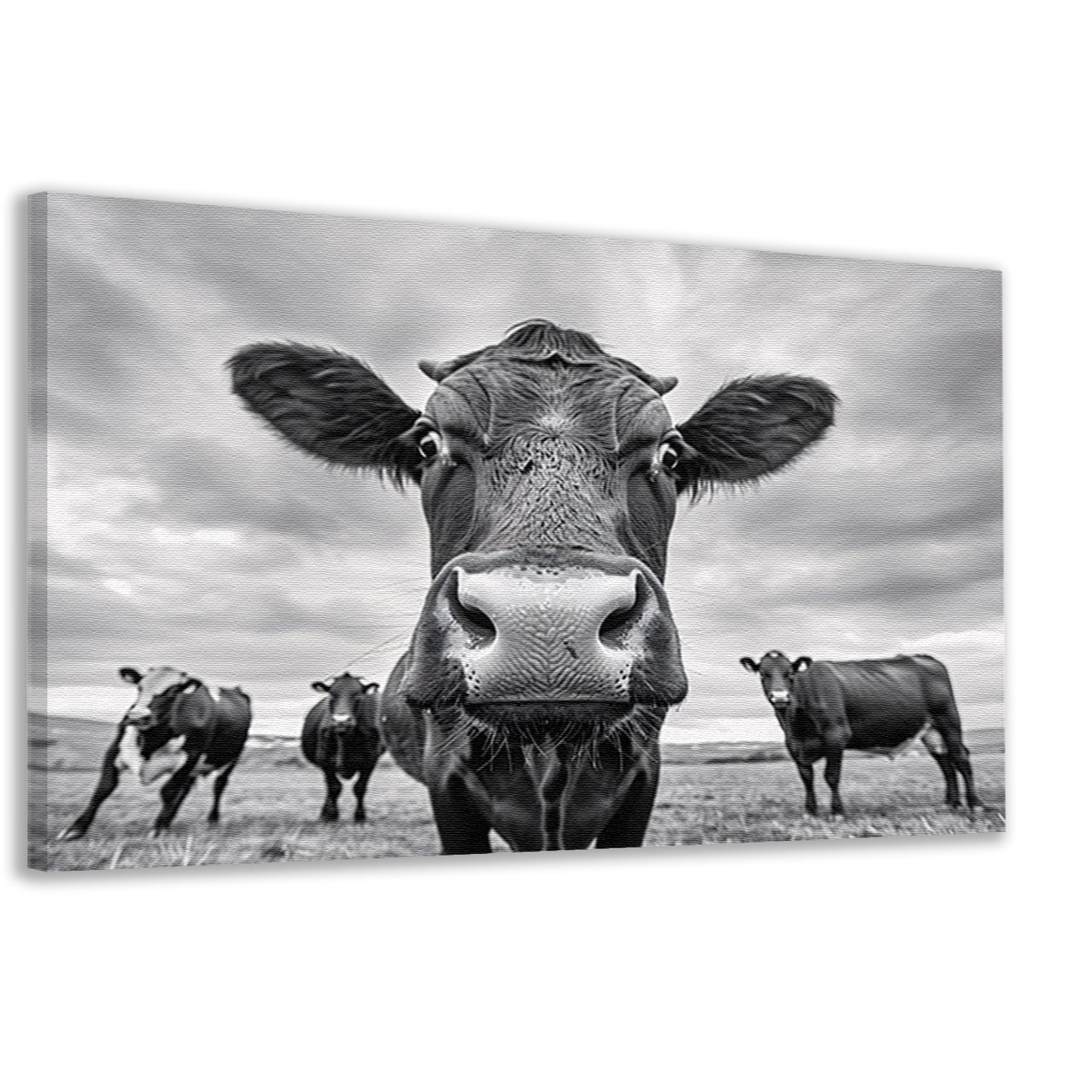 Close-up van nieuwsgierige koeien in weide   canvas