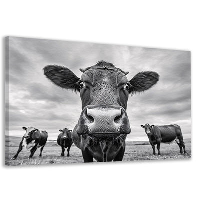 Close-up van nieuwsgierige koeien in weide   canvas