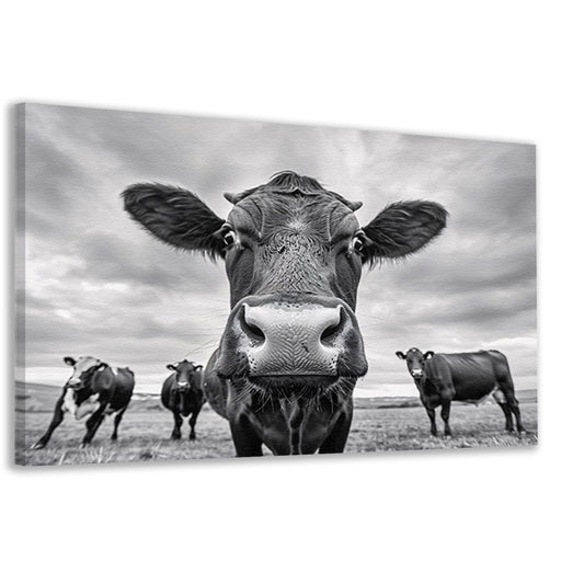 Close-up van nieuwsgierige koeien in weide   canvas
