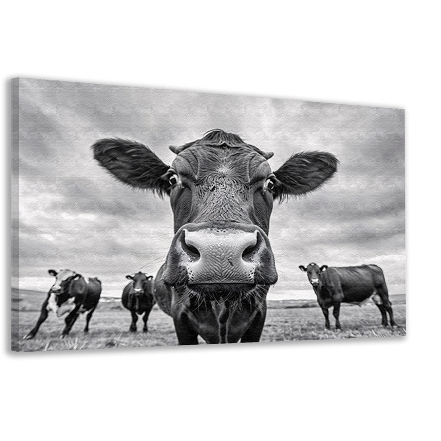 Close-up van nieuwsgierige koeien in weide   canvas