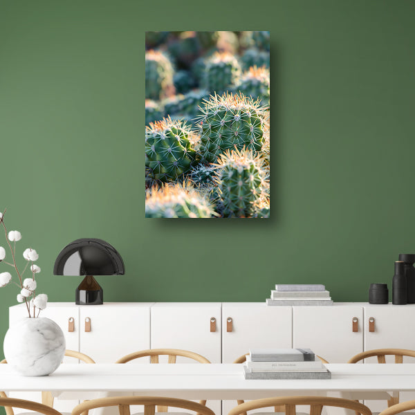 Zwart-wit foto van cactussen in de zon poster