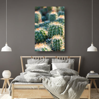 Zwart-wit foto van cactussen in de zon poster