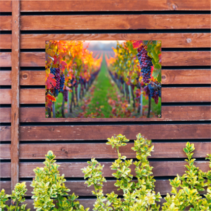 Herfstige wijngaard onder de avondzon tuinposter