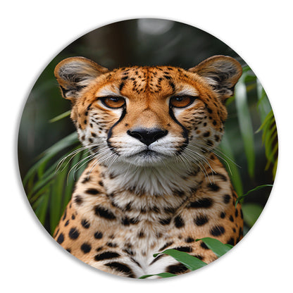 Portret van een Cheeta aluminium muurcirkel