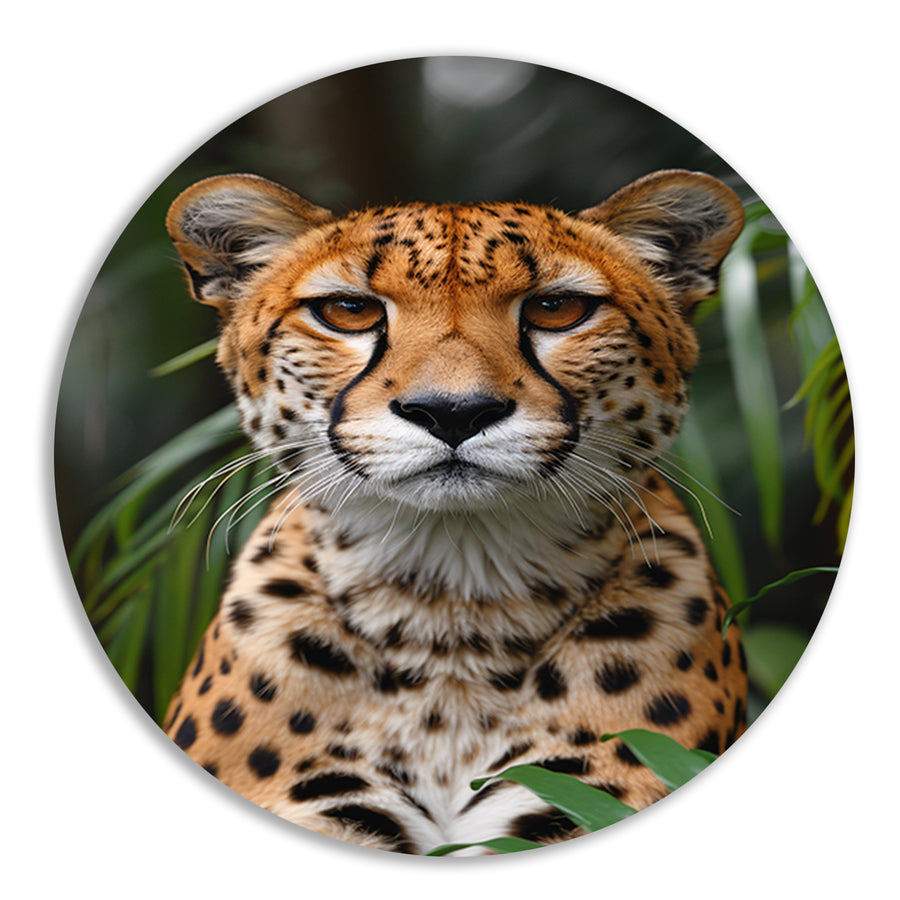 Portret van een Cheeta forex muurcirkel