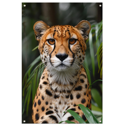 Portret van een Cheeta tuinposter