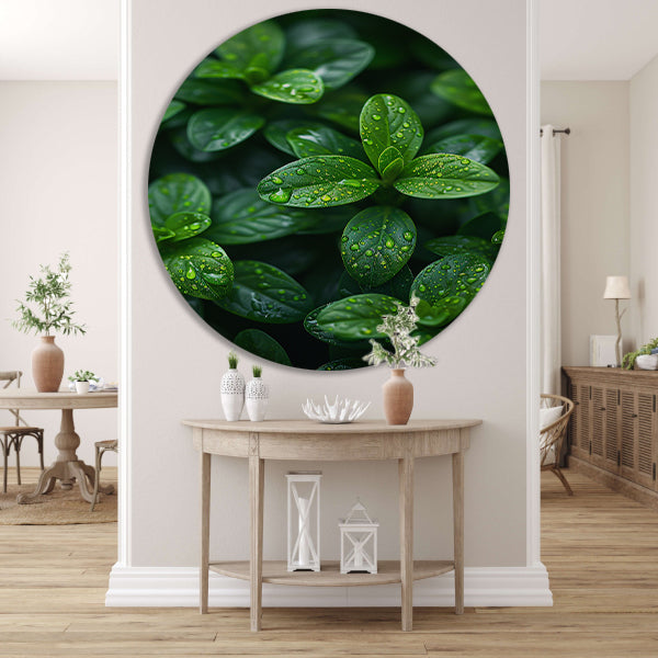 Close-up van groene bladeren met dauwdruppels forex muurcirkel