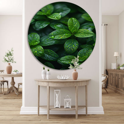 Close-up van groene bladeren met dauwdruppels forex muurcirkel