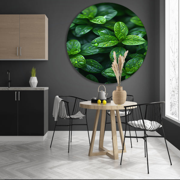 Close-up van groene bladeren met dauwdruppels forex muurcirkel