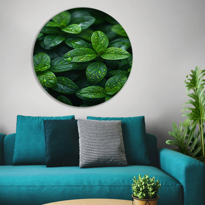 Close-up van groene bladeren met dauwdruppels aluminium muurcirkel