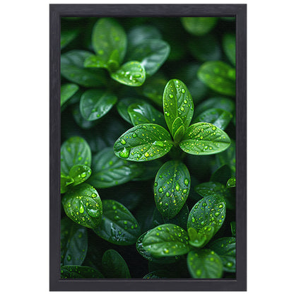 Close-up van groene bladeren met dauwdruppels canvas met baklijst