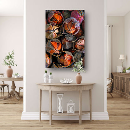 Close-up van zaaddozen met levendige kleuren acrylglas