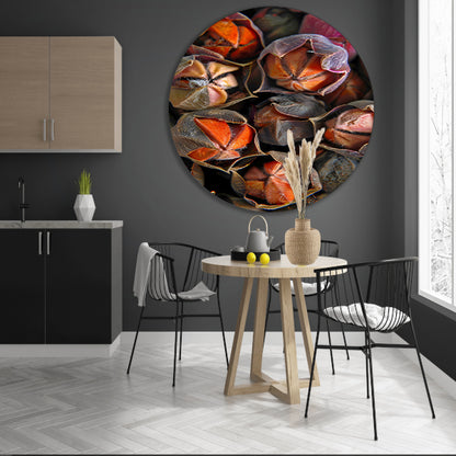 Close-up van zaaddozen met levendige kleuren aluminium muurcirkel