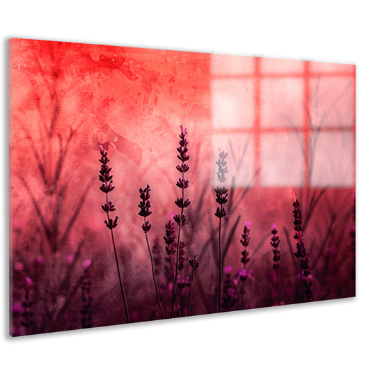Silhouetten van lavendel tegen rode achtergrond acrylglas