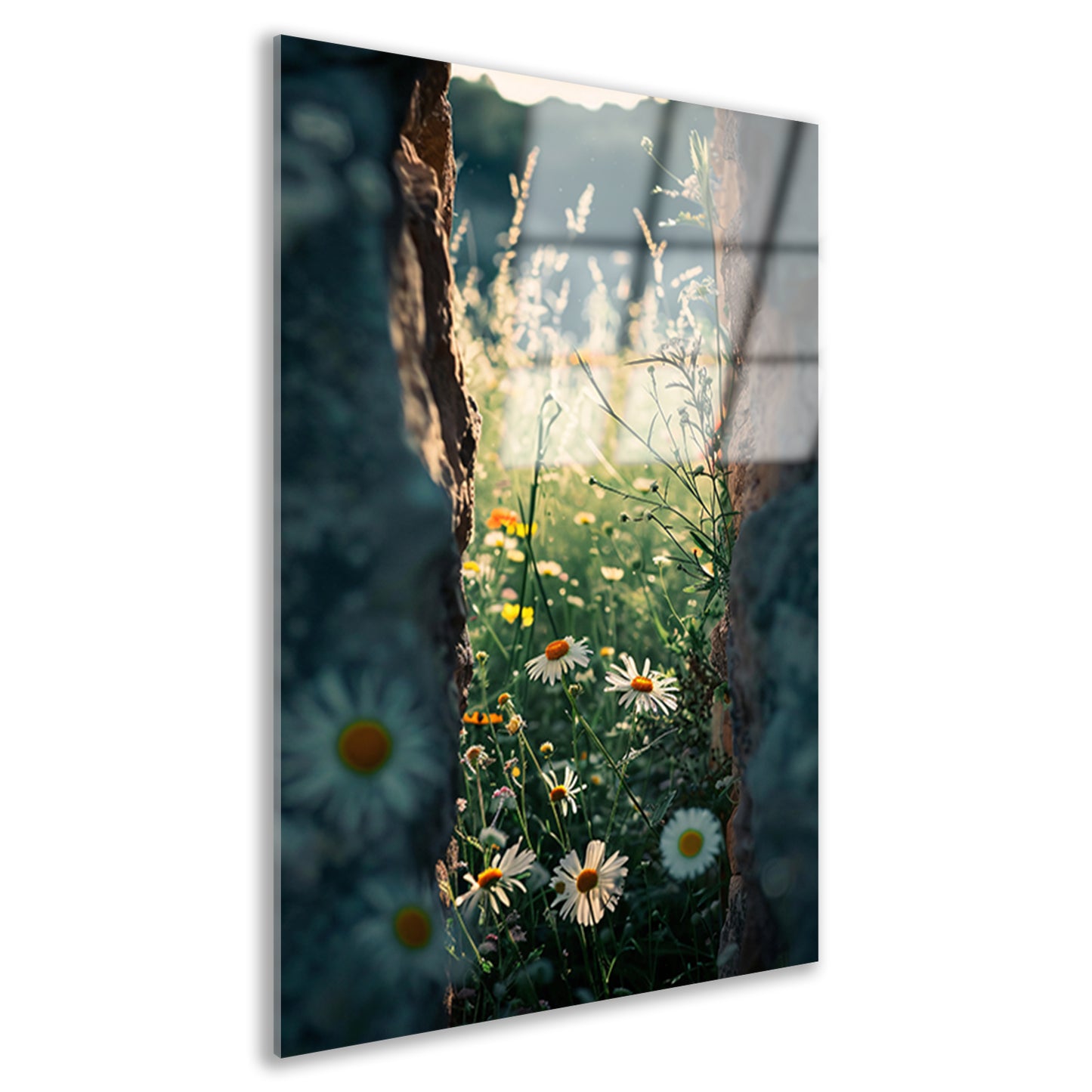 Verborgen Bloementuin Achter Oude Muur acrylglas