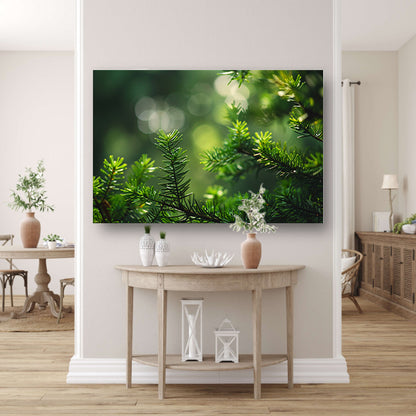 Groene naalden verlicht door zonnestralen   acrylglas