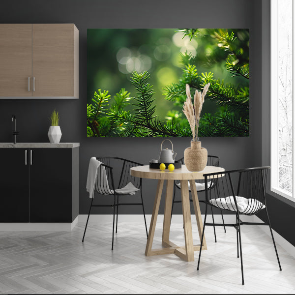 Groene naalden verlicht door zonnestralen   acrylglas