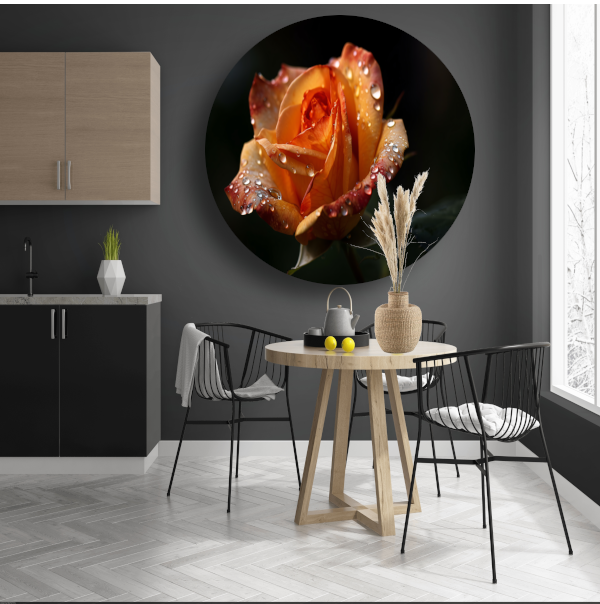 Roos met waterdruppels in close-up aluminium muurcirkel