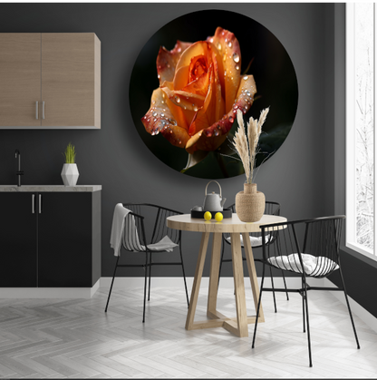 Roos met waterdruppels in close-up aluminium muurcirkel