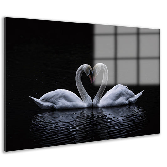 Twee zwanen die hart vormen op water acrylglas