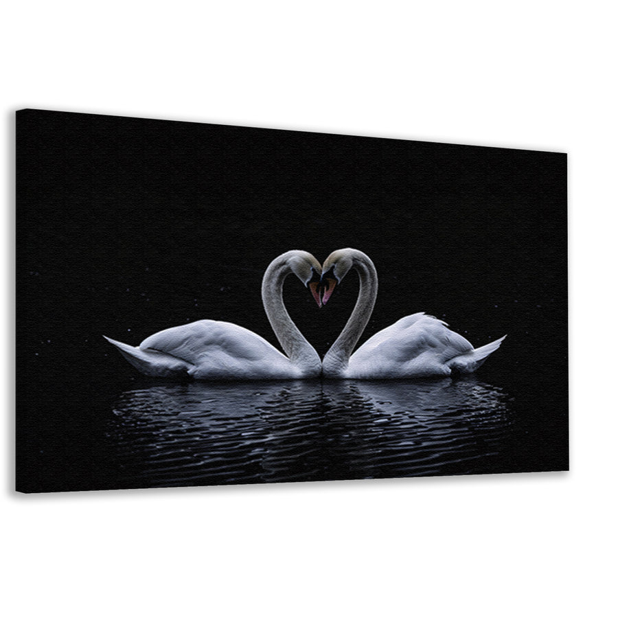 Twee zwanen die hart vormen op water canvas