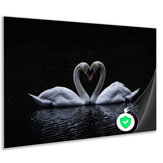 Twee zwanen die hart vormen op water poster