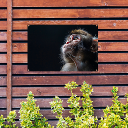 Reflecterende aap in donkere achtergrond tuinposter