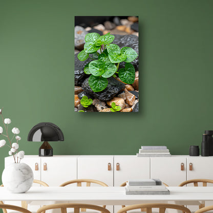 Jonge groene plant tussen stenen canvas met baklijst