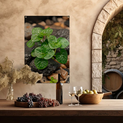 Jonge groene plant tussen stenen tuinposter