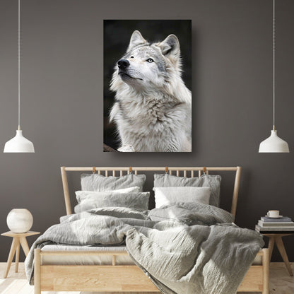 Portret van een Witte Wolf in Zwart-Wit poster