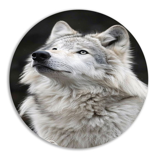 Portret van een Witte Wolf in Zwart-Wit aluminium muurcirkel