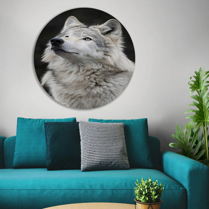 Portret van een Witte Wolf in Zwart-Wit aluminium muurcirkel